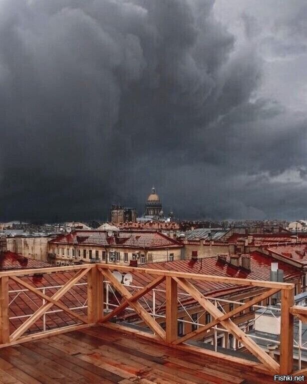 Цветной СПБ