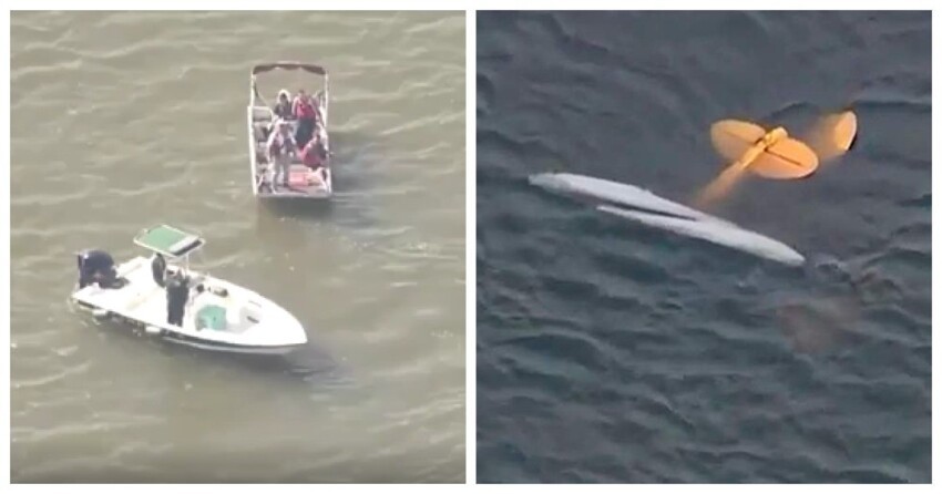 Во Флориде столкнулись два самолёта и рухнули в озеро