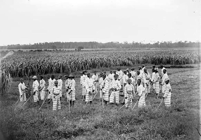 Темнокожие подростки-сироты до конца 60-х де-юре считались потенциально опасными и их содержали как арестантов на государственных фермах, где они работали до 16 лет без какой-либо оплаты, за еду