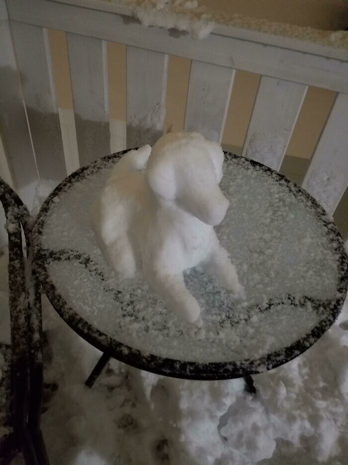 Кто-то слепил собачку из снега