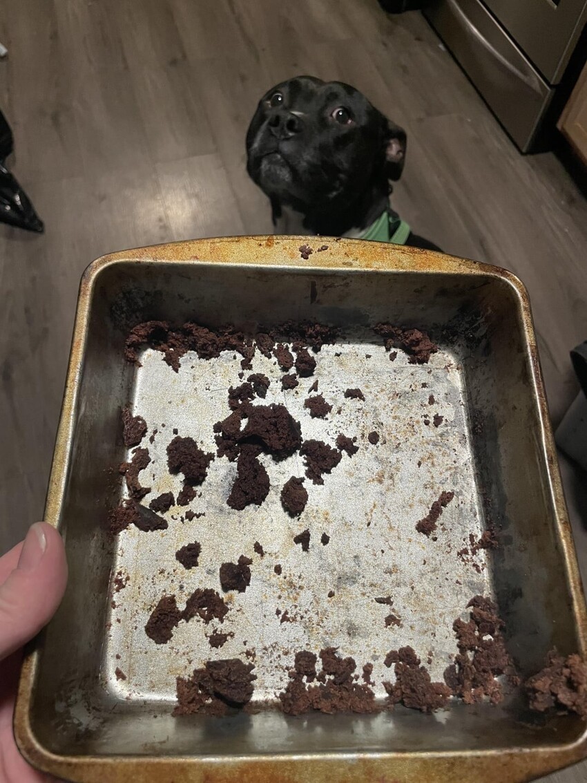 Я приготовила торт для своего парня. Как вы думаете, где он?
