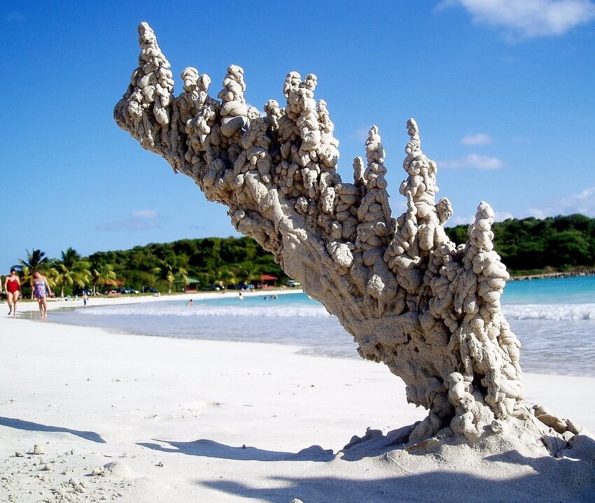 14. Когда молния попадает в песчаный пляж, она создает причудливые скульптуры, известные как фульгуриты или “окаменелые молнии”.