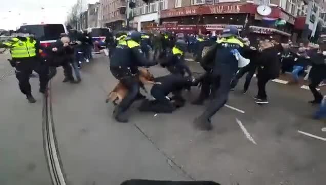 Вот так разгоняют митинг в Нидерландах 