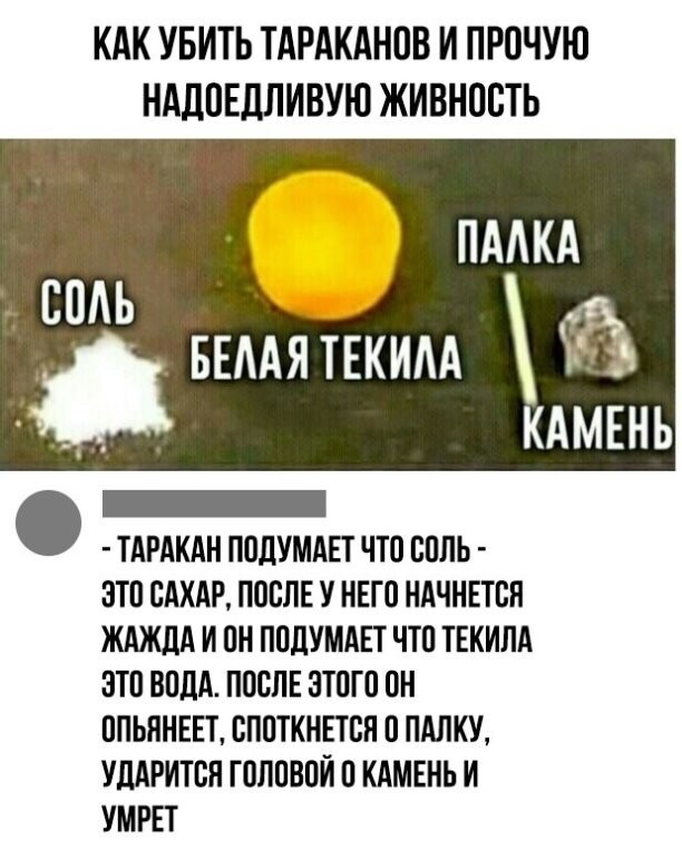 Весёлые баянчики