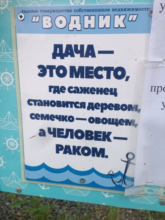 Весёлые баянчики