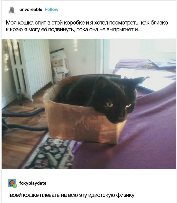 Скрины из соцсетей 