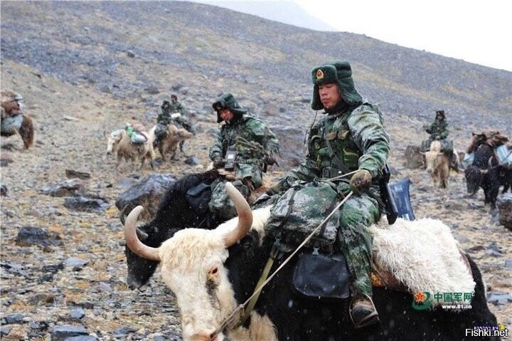 И ни разу не стыдно
