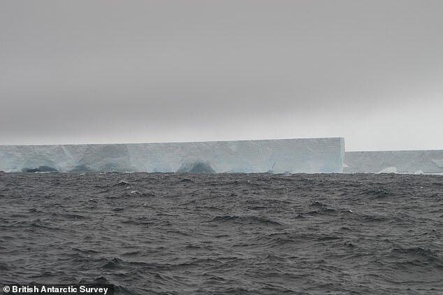 От антарктического шельфа откололся айсберг размером с Лондон