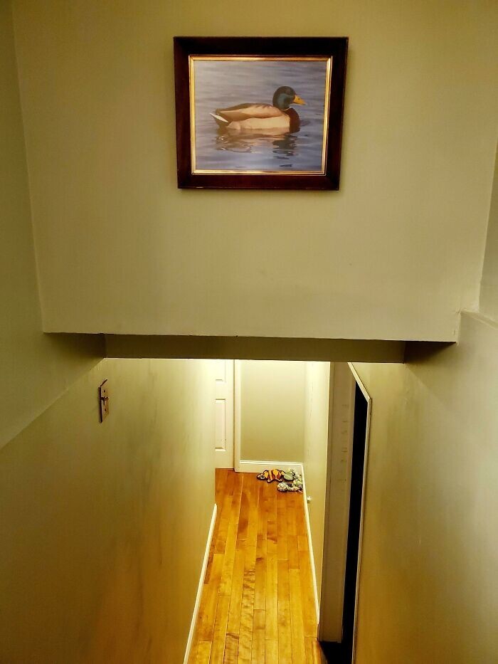 5. "Все постоянно бьются головой, спускаясь по лестнице у меня дома, так что я повесил это в качестве предупреждения" [Duck —   утка, Duck! — пригнись]