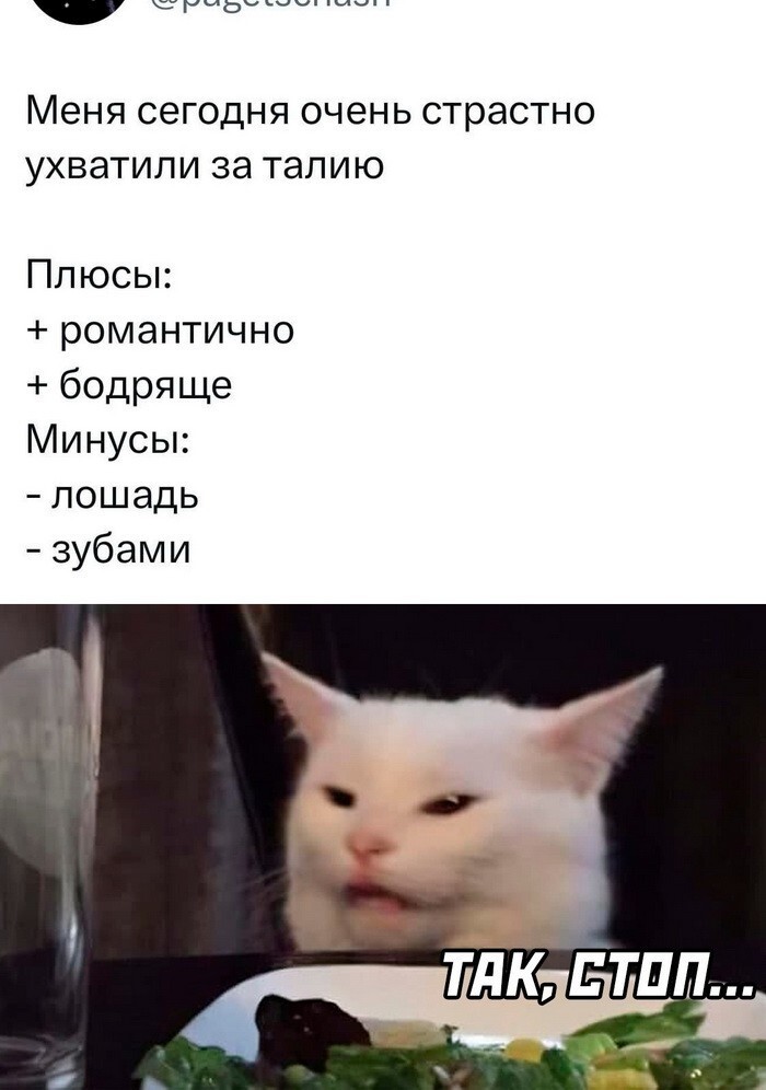 Скрины из соцсетей 