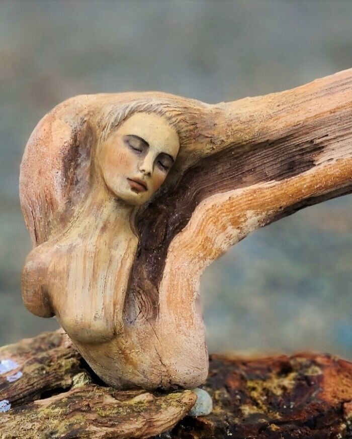 Художник делает невероятные скульптуры из коряги, ракушек и сушеных грибов