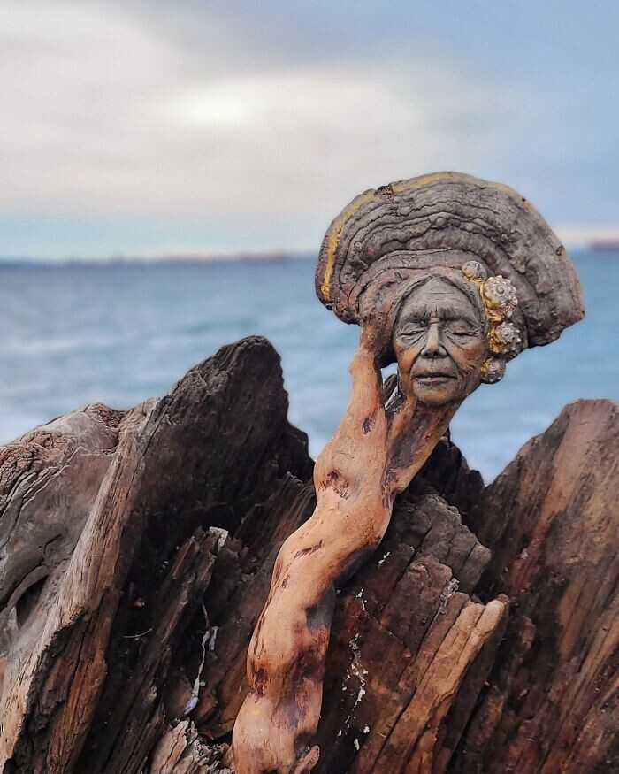 Художник делает невероятные скульптуры из коряги, ракушек и сушеных грибов