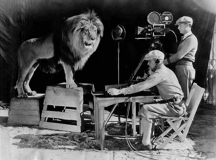 Звуковая синхронная съёмка льва Джеки для заставки голливудской киностудии «MGM», декабрь 1928 года