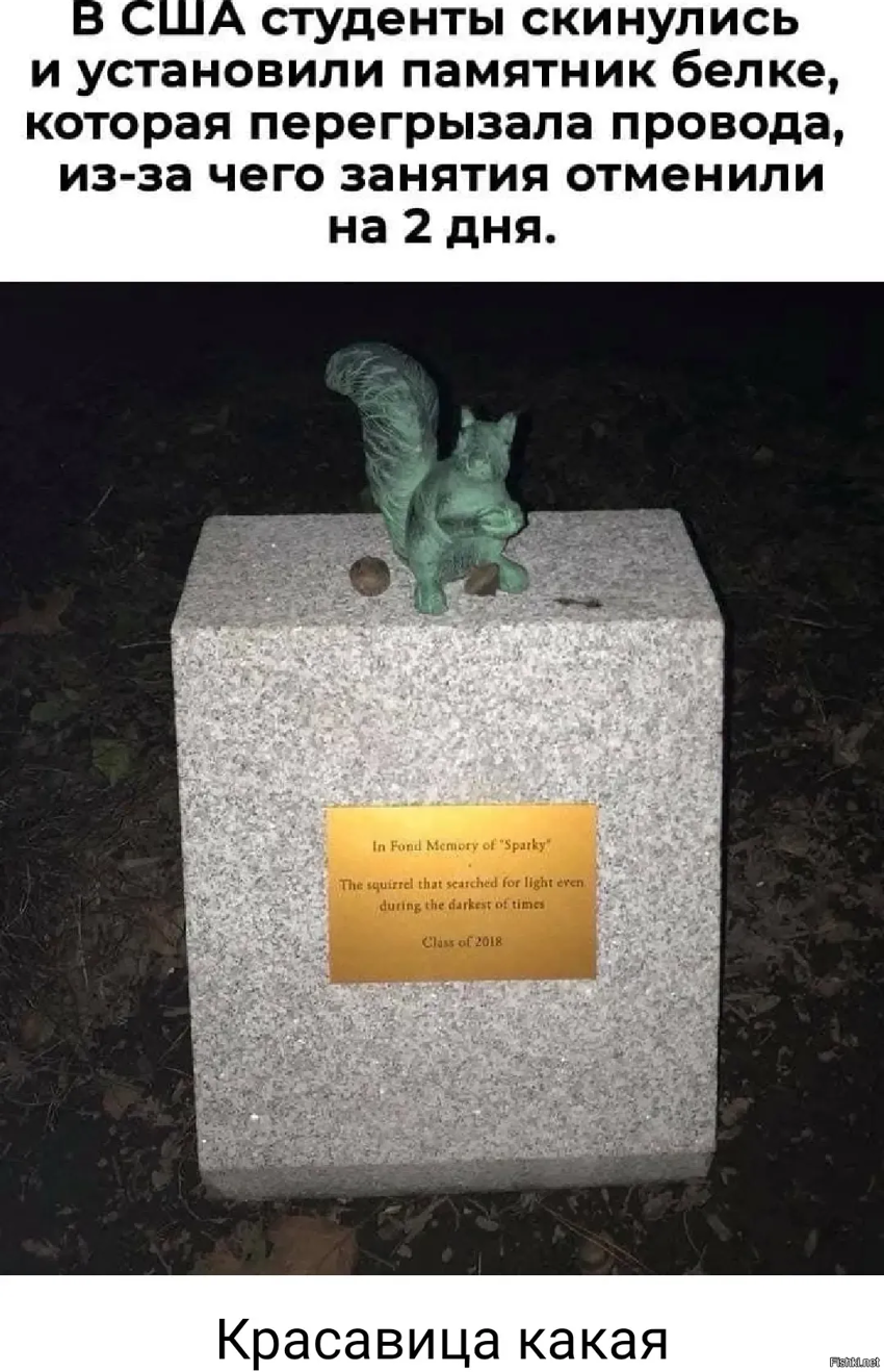 Памятник Белке