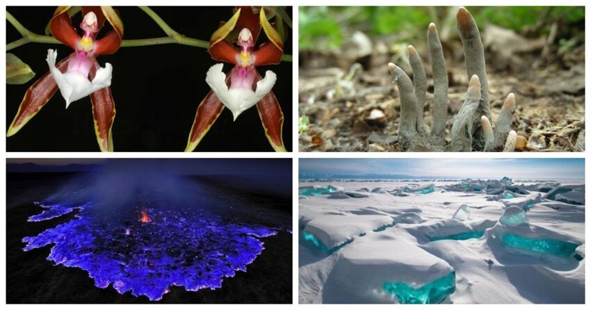 Чудеса природы: 30 интересных фактов и фотографий об окружающем мире