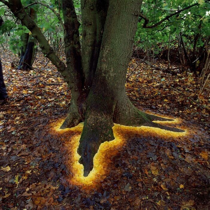 2. Эффект светящейся основы дерева, полученный благодаря выложенным вокруг листьям. Как кадр из игры на PS2