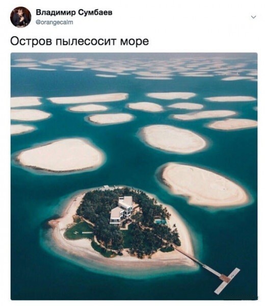 Скрины из соцсетей 