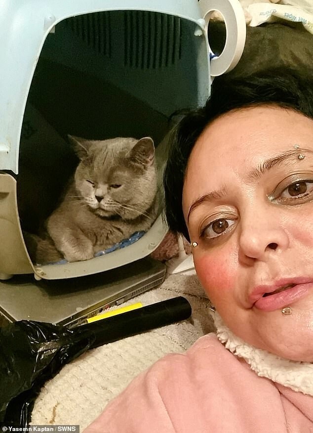 Жительница Лондона голодает, чтобы прокормить своих кошек