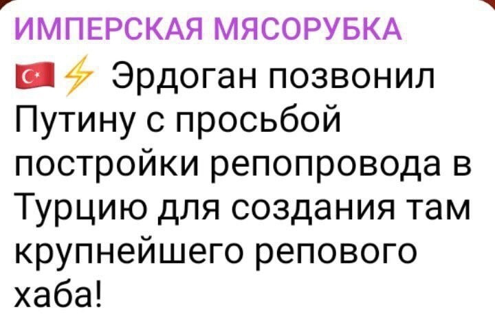 Репопровод будет оборудован камерами видеонаблюдения, во избежание встречи с проукраинскими независимыми пловцами