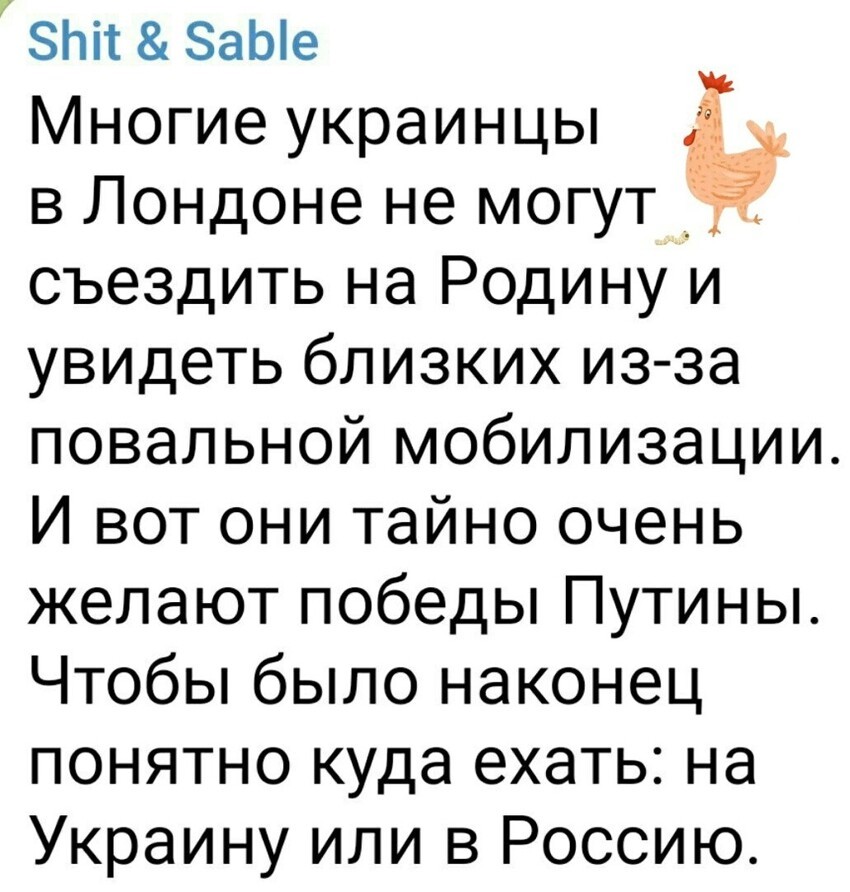 О политике и не только