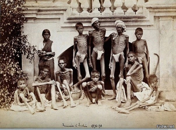 Мадрасский мор: великий голод в Индии 1876-78 гг