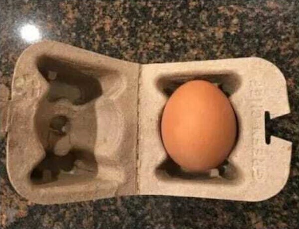 1. Упаковка яиц, которую может позволить себе каждый