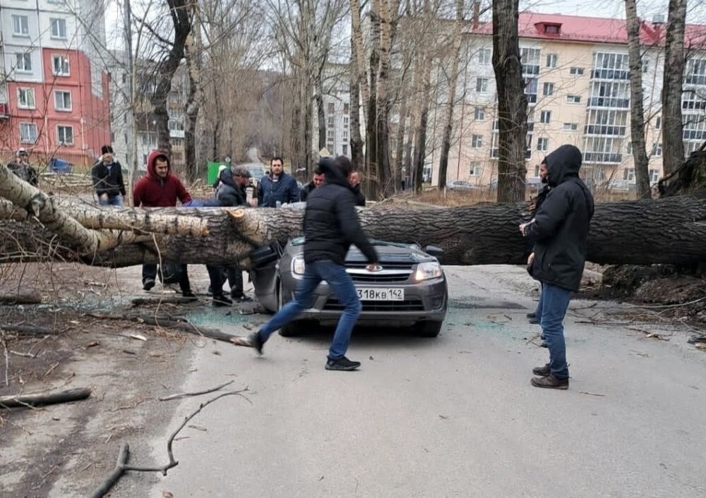 Упавшее дерево раздавило машину с людьми