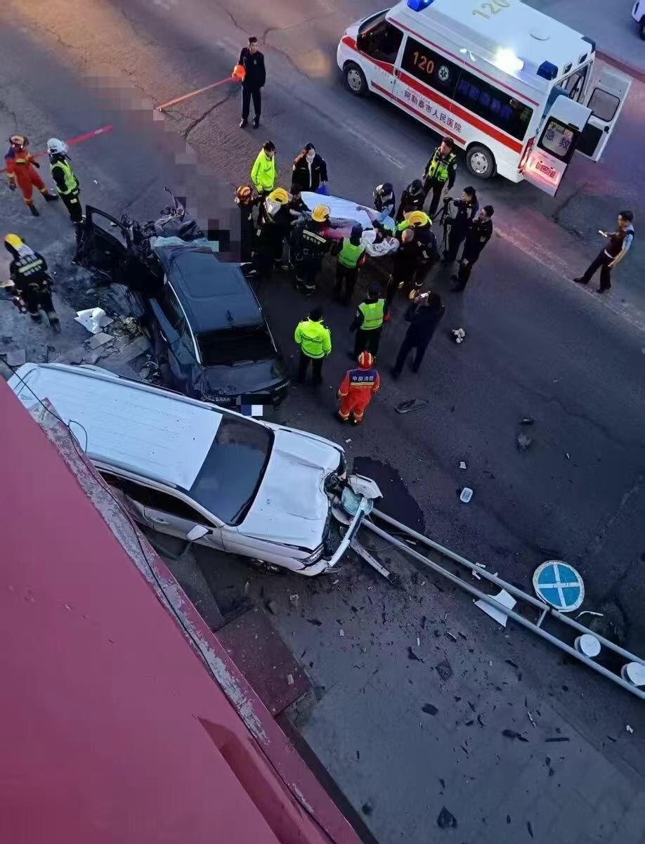Полёт за премией Дарвина