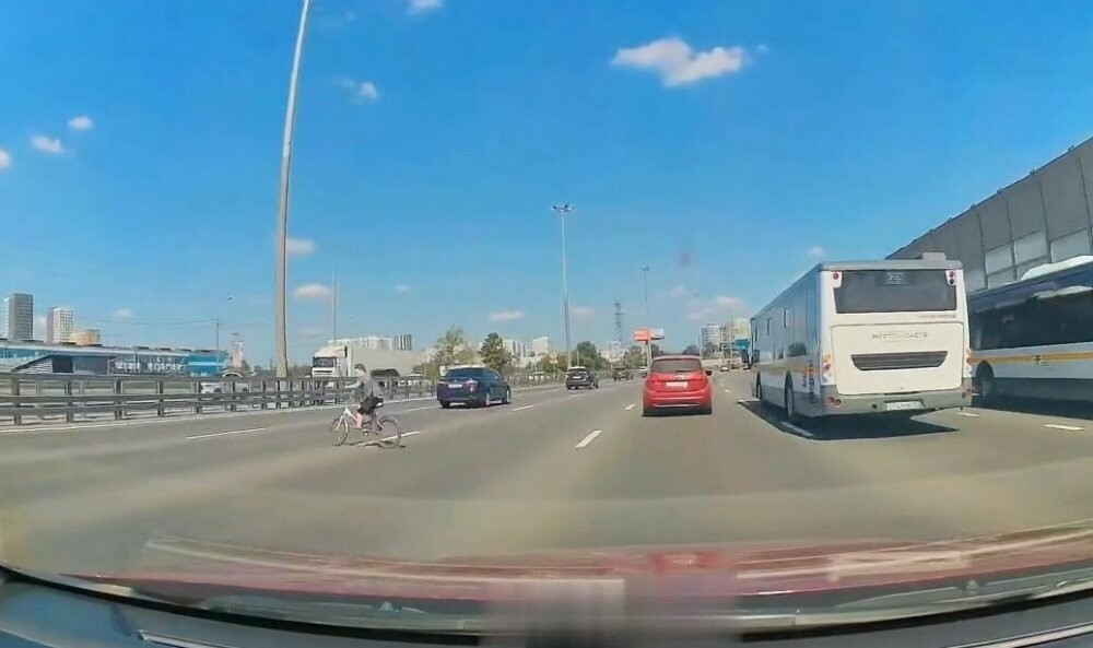 Инстинкт самосохранения отсутствует полностью
