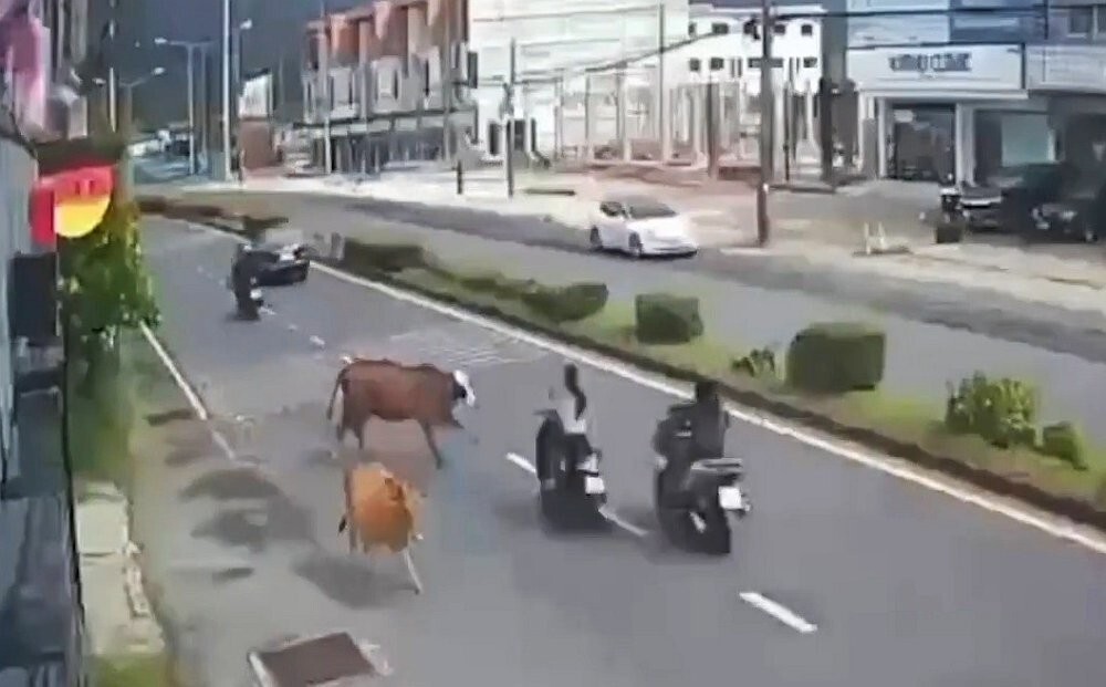 Никто не любит мотоциклистов