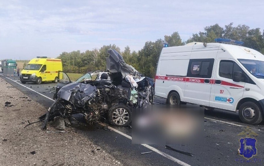 Жесть на трассе в Самарской области