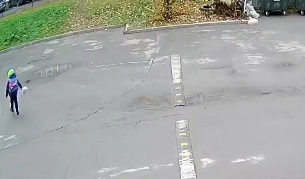 Попал в мёртвую зону