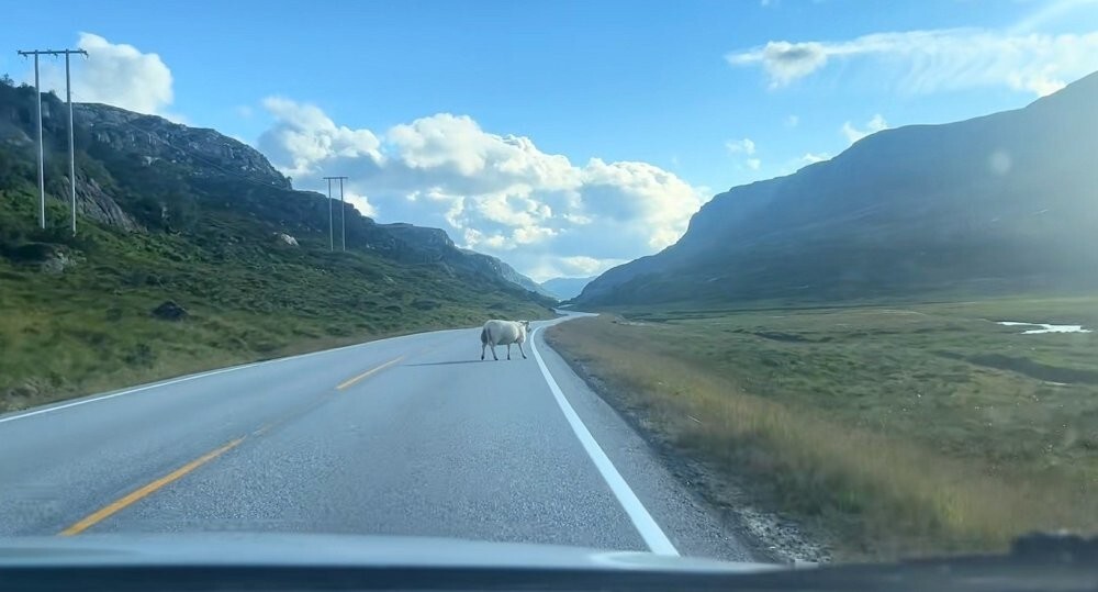 "Утром рано повстречались два..."