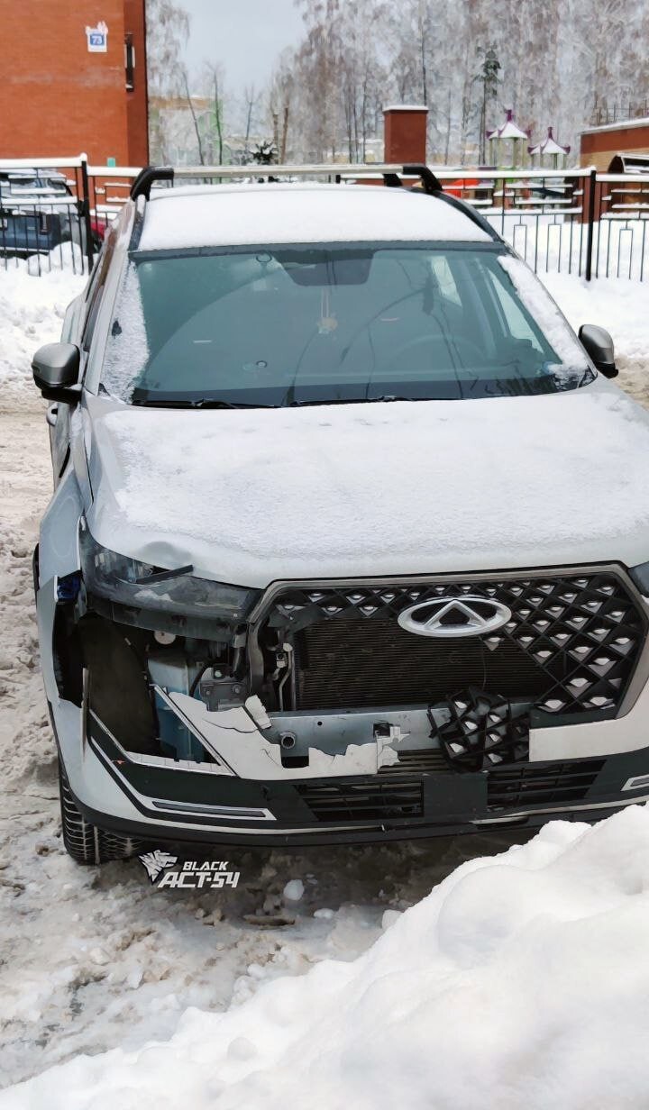 Убегала от волка и попала под машину