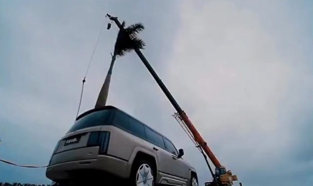 Китайцы трижды уронили дерево на премиальный внедорожник, чтобы продемонстрировать его прочность