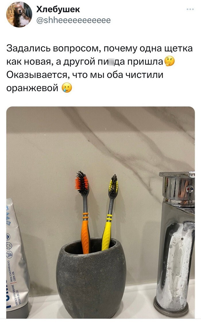 Скрины из соцсетей 