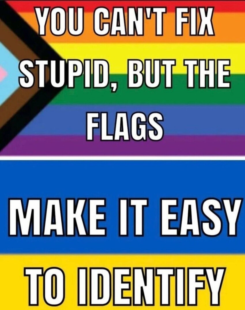 В американских соцсетях пишут - «Ты не можешь исправить тупых, но по этим флагам их легче вычислить»