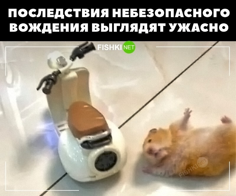 Фотоприколы и прикольные картинки