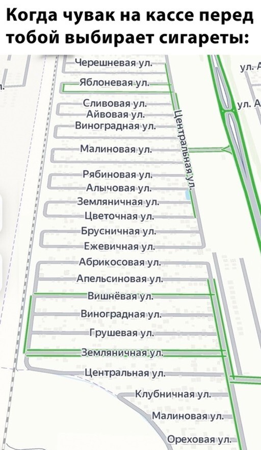 Фотоприколы и прикольные картинки