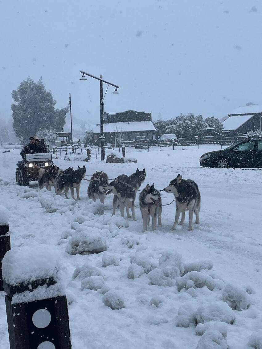 Фотоподборка