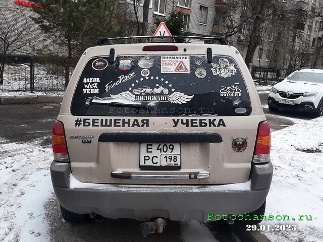 Автовсячина