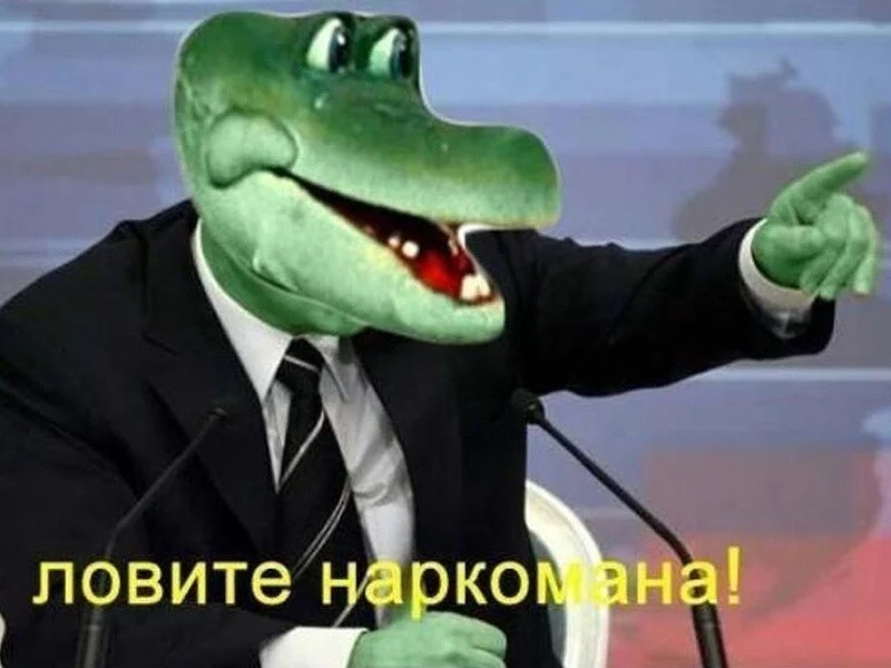 https://tn.fishki.net/26/upload/post/2023/03/23/4386165/4304a42b1fbefa6bdd99ae8b2cf9b341.jpg.webp