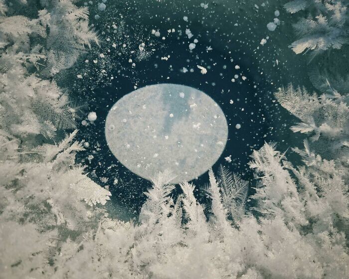 Этот пузырь воздуха в замерзшей рыбацкой лунке выглядит как луна, восходящая над лесом