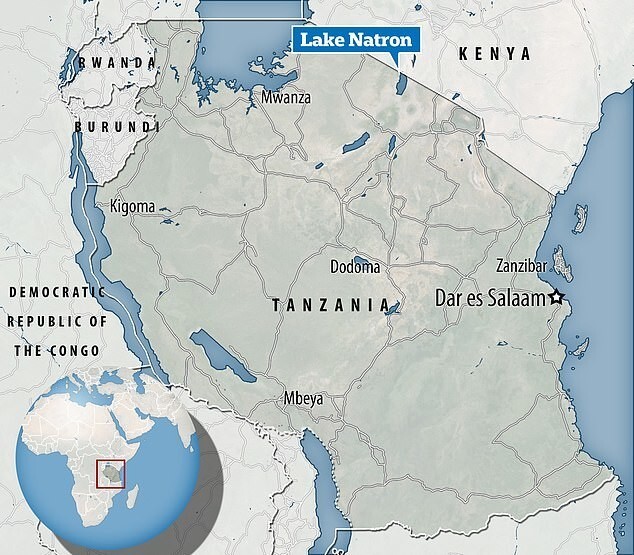 В зловещем танзанийском озере каменеет все живое