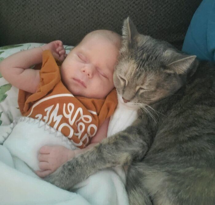 8. "Жена только что прислала мне это фото нашей дочери и кошки. Я всплакнул на работе"
