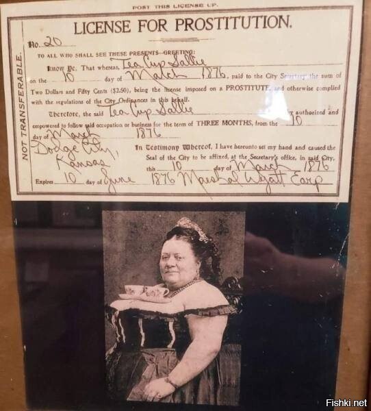 Лицензия на занятия проституцией
