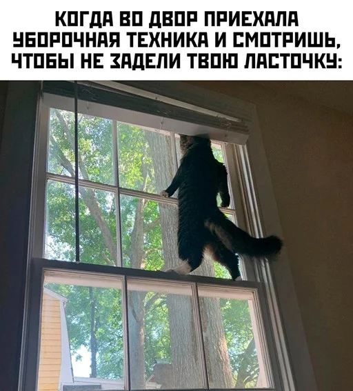 d19afae4911a04c011623212fb8585ad.jpg.web