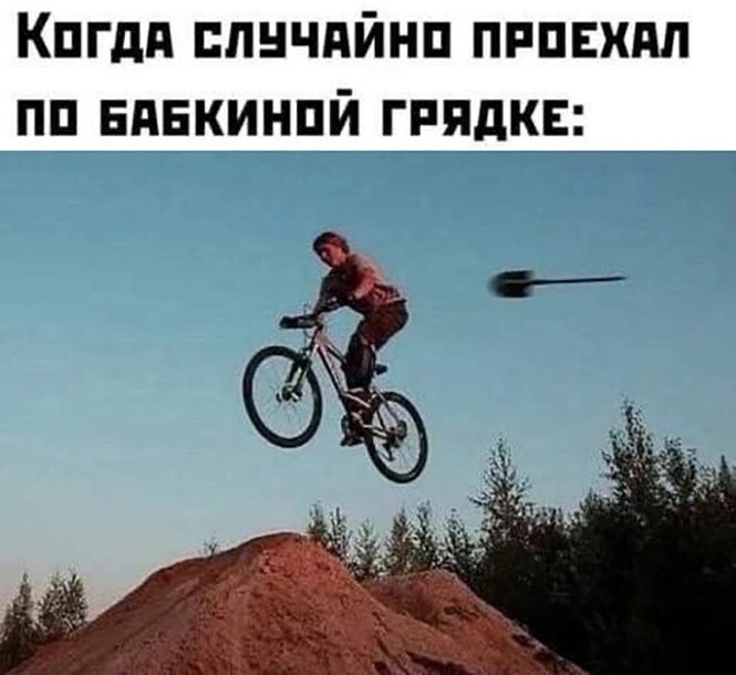 Фотоприколы и прикольные картинки