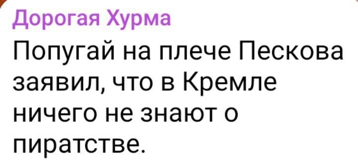 Песков поддержал идею Медведева о пиратстве в интернете