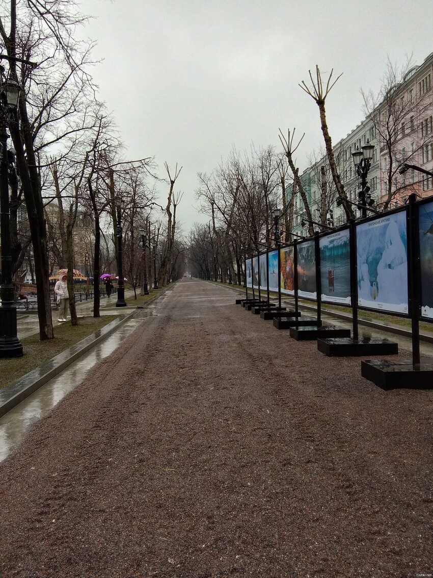 Тверской бульвар сегодня